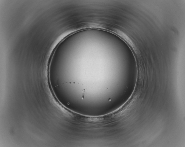 X0000111841339200907301042