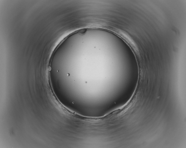 X0000111841340200907301042