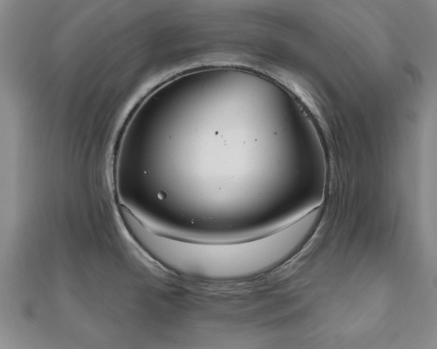 X0000111841342200907301042