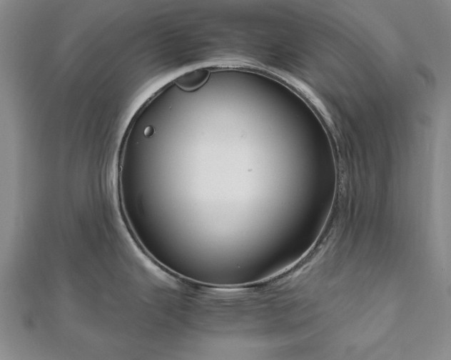 X0000111841343200907301042