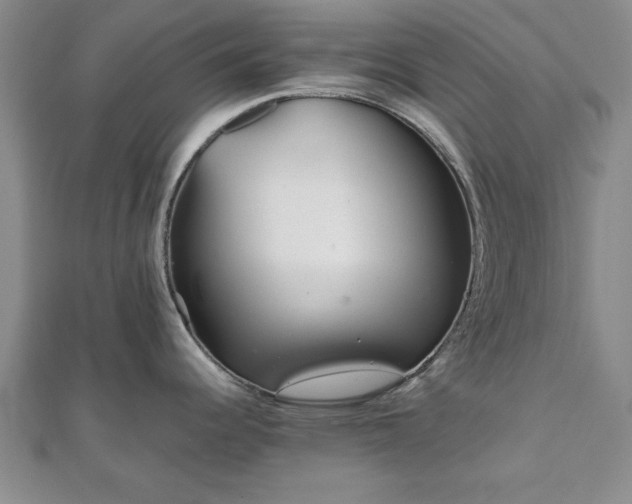 X0000111841344200907301042