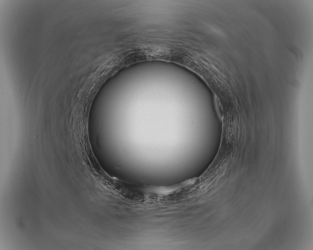 X0000111841345200907301041