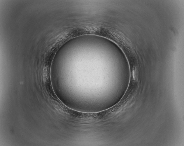 X0000111841347200907301041