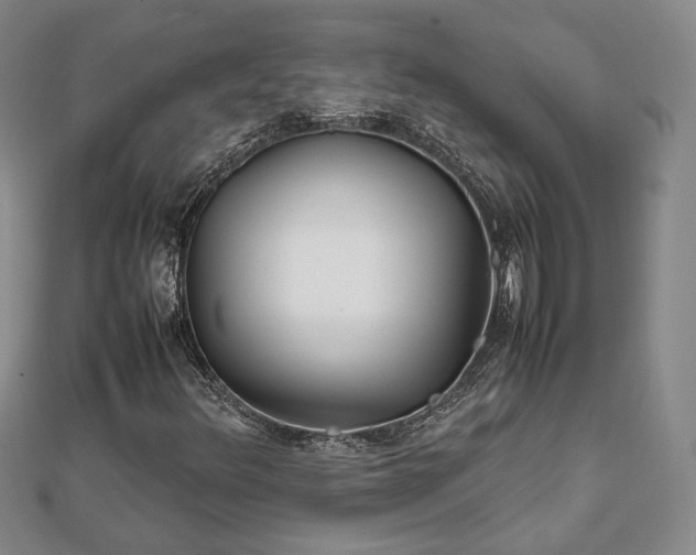 X0000111841348200907301041