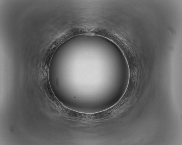 X0000111841349200907301041