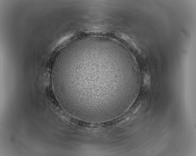 X0000111841350200907301041