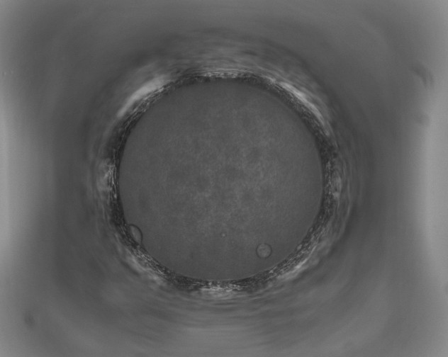 X0000111841351200907301041