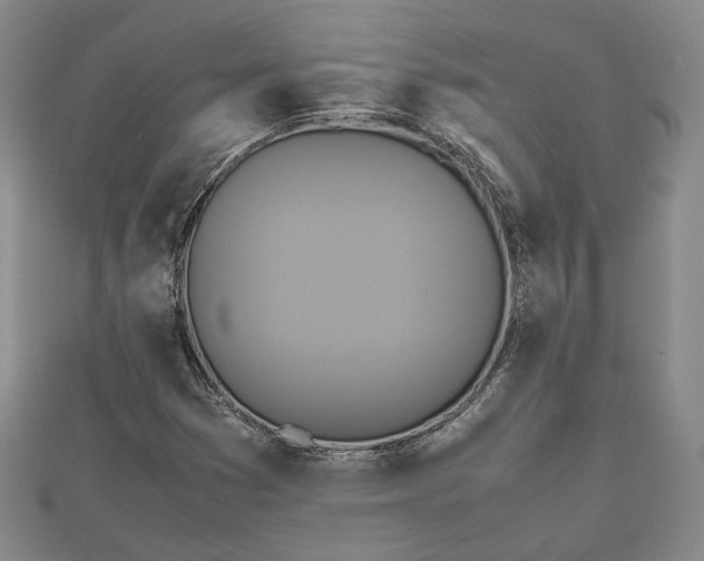 X0000111841353200907301041