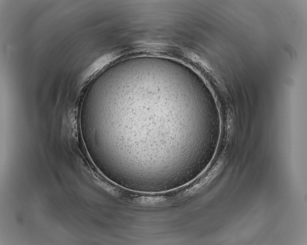 X0000111841354200907301041