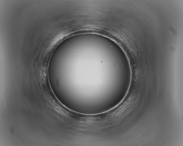 X0000111841355200907301041