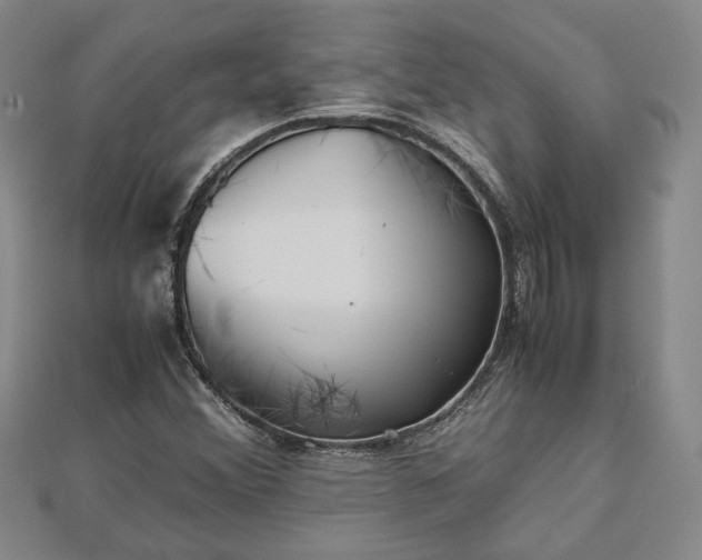 X0000111841356200907301041