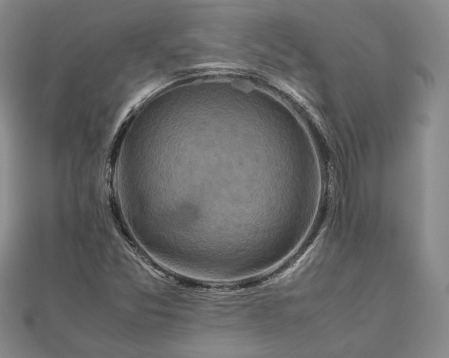 X0000111841357200907301041