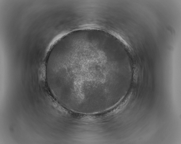 X0000111841358200907301041