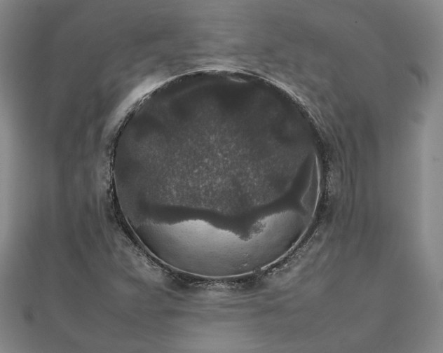 X0000111841359200907301041