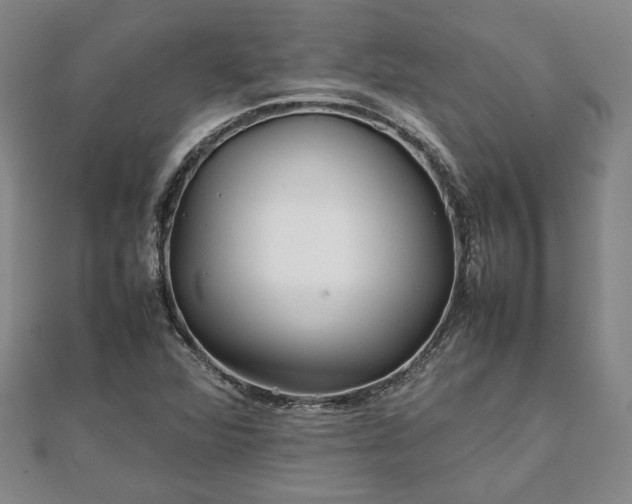 X0000111841360200907301041