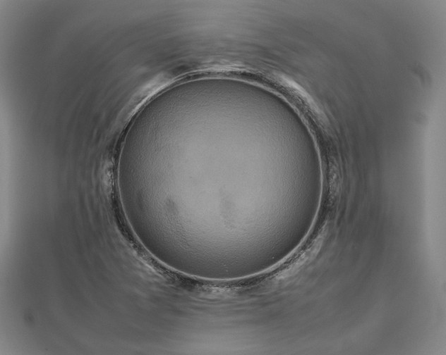 X0000111841361200907301041