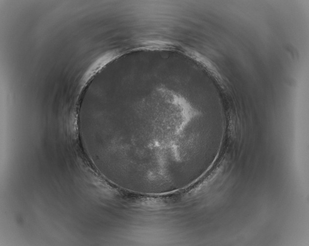 X0000111841362200907301041