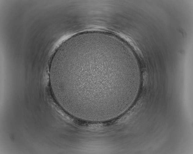 X0000111841363200907301041