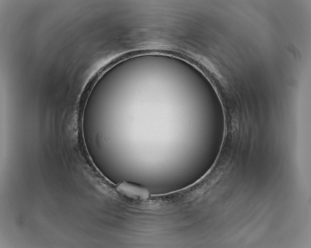 X0000111841364200907301041