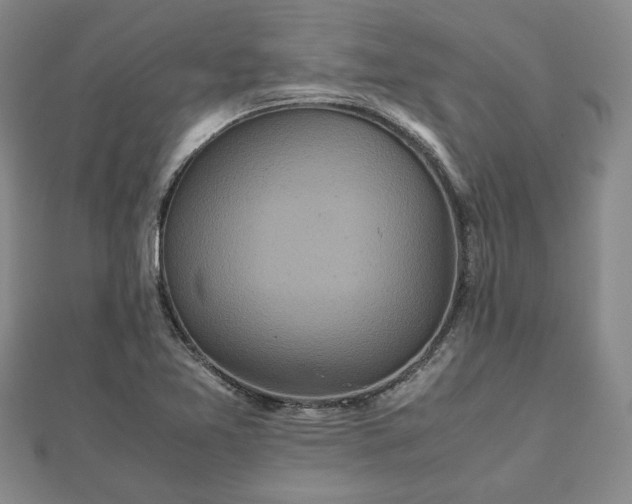 X0000111841365200907301041