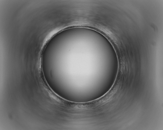 X0000111841366200907301041