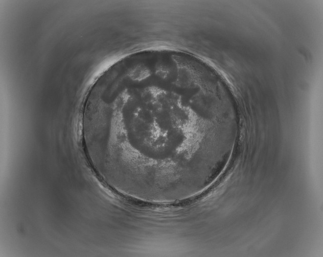 X0000111841367200907301041