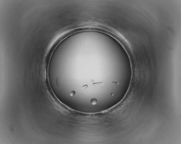 X0000111841368200907301041