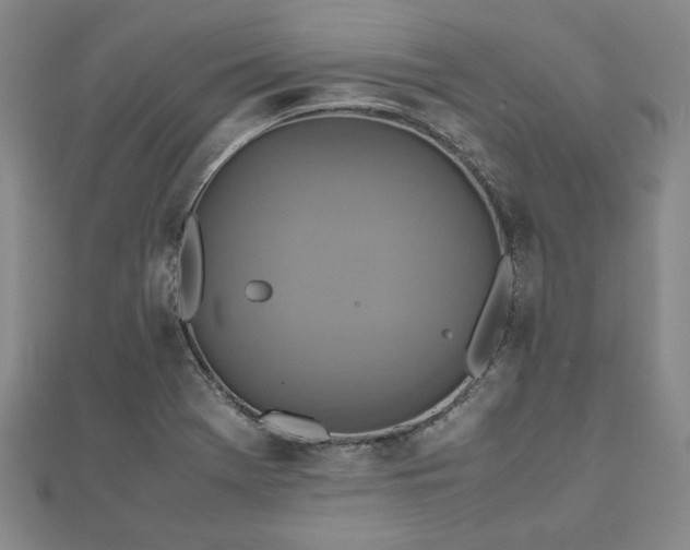 X0000111841369200907301041