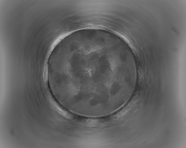 X0000111841371200907301041