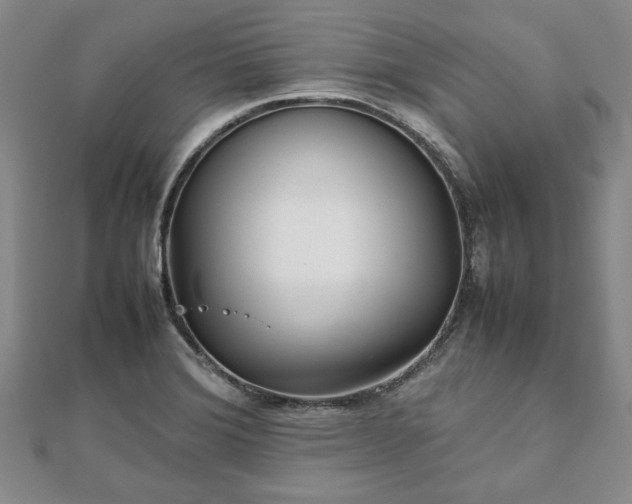 X0000111841372200907301041