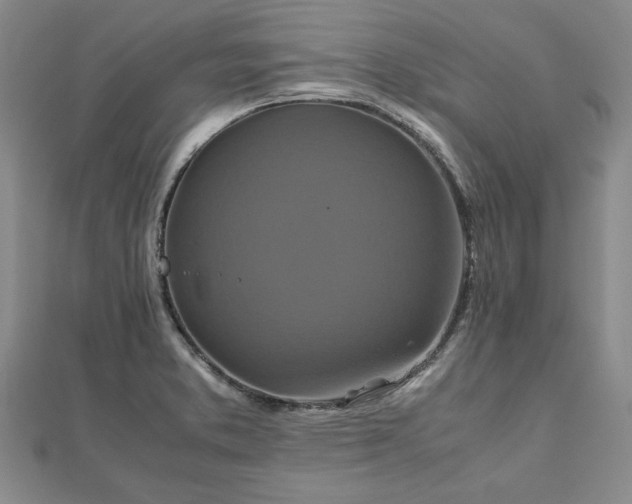 X0000111841373200907301041