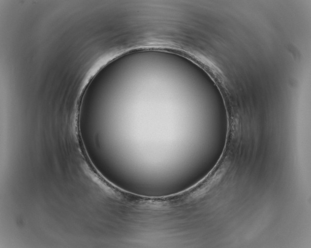 X0000111841374200907301041