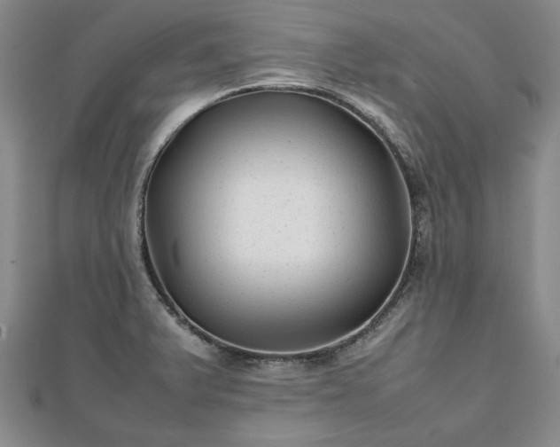 X0000111841375200907301041