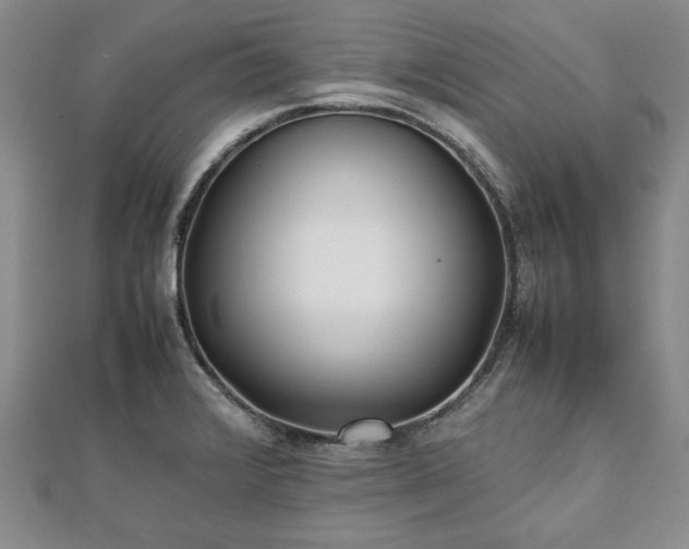 X0000111841376200907301041