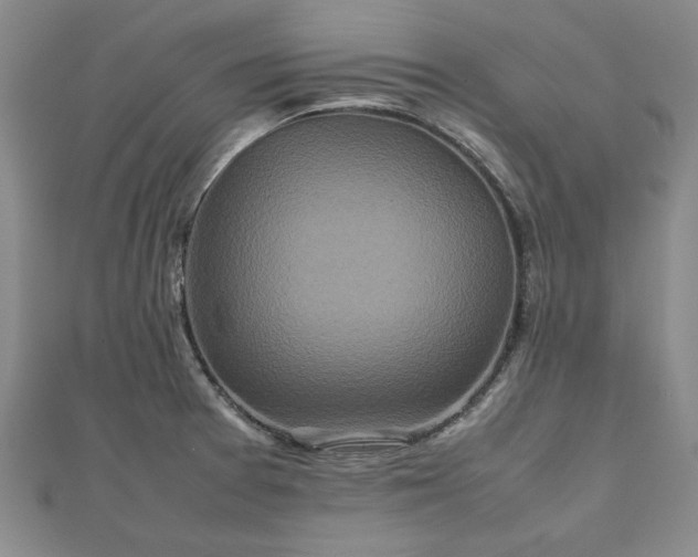 X0000111841377200907301041