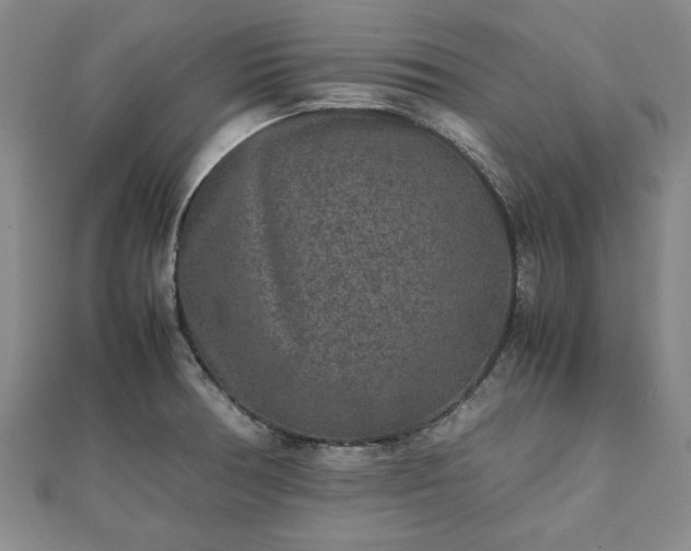 X0000111841378200907301041