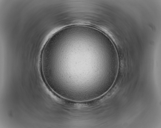 X0000111841379200907301041