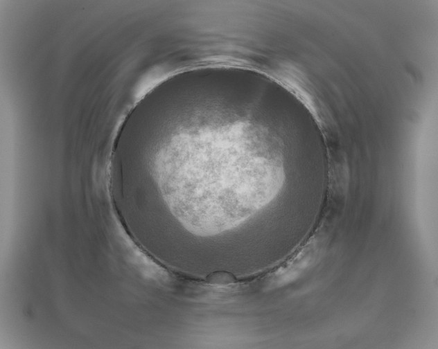 X0000111841381200907301041