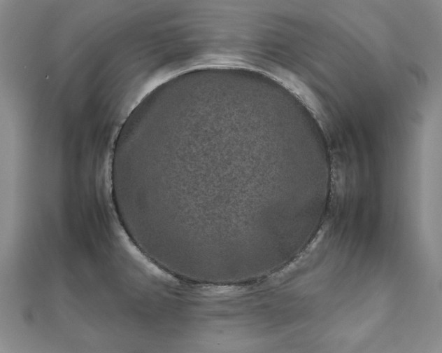 X0000111841382200907301041