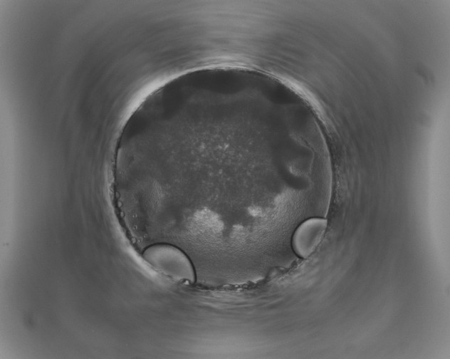 X0000111841383200907301041