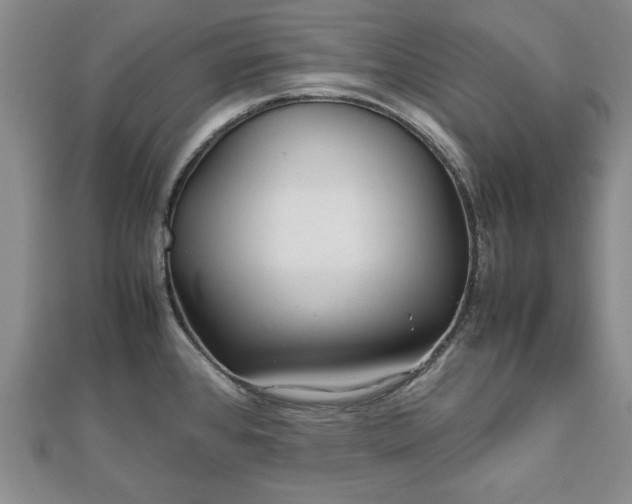 X0000111841384200907301041