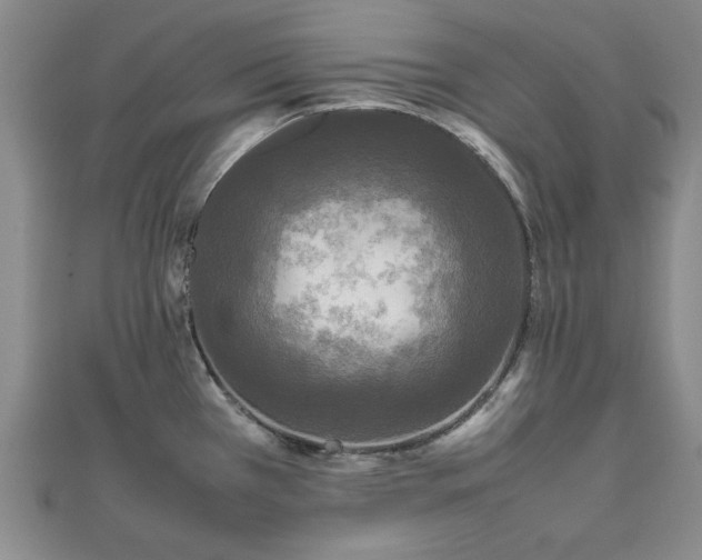 X0000111841385200907301041