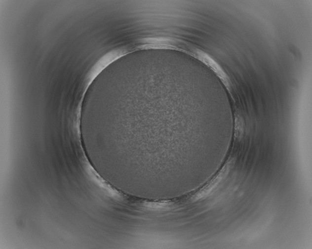 X0000111841386200907301041