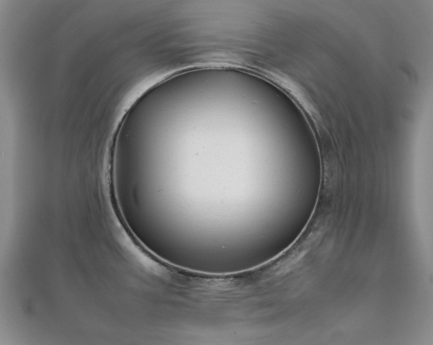 X0000111841387200907301040