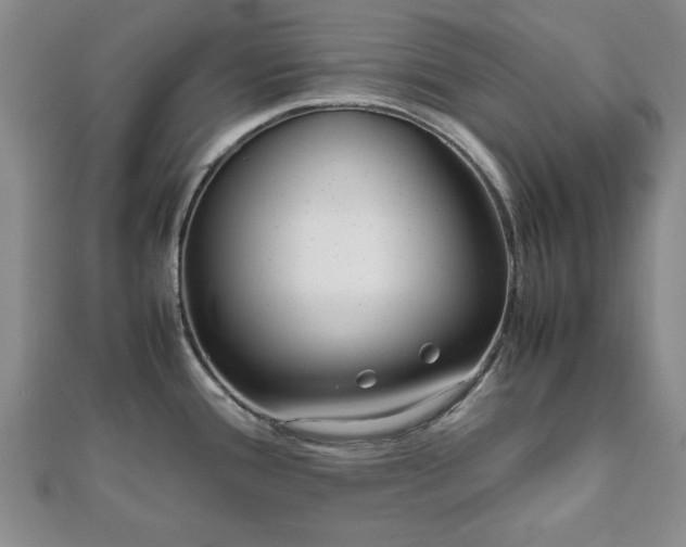 X0000111841388200907301040