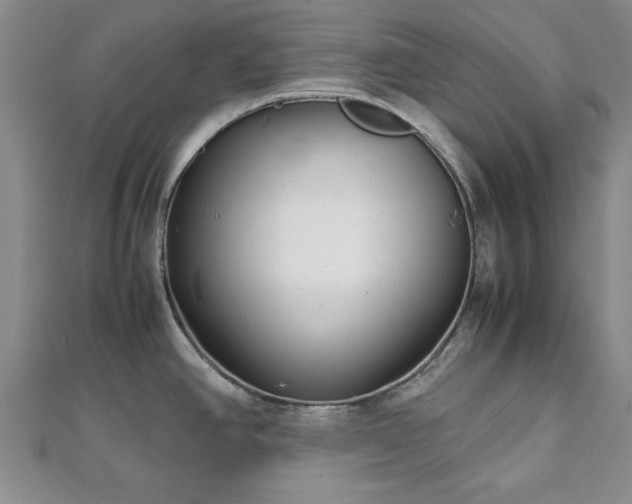 X0000111841390200907301040