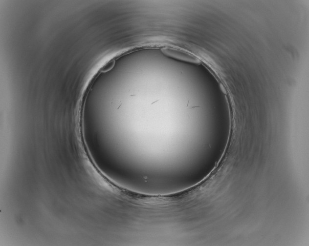 X0000111841392200907301040