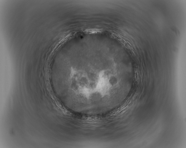 X0000111841393200907301040