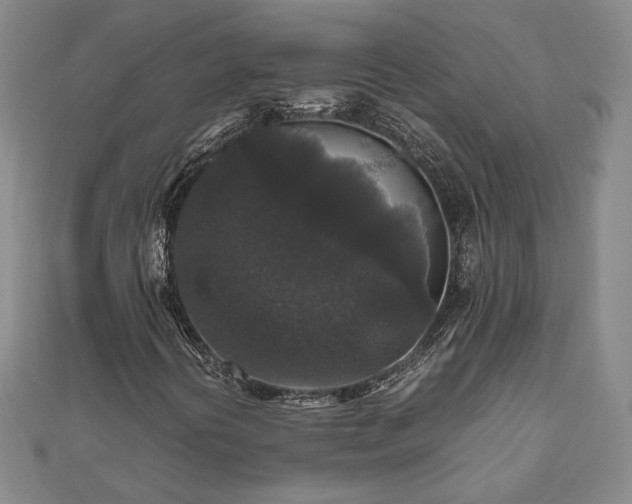 X0000111841394200907301040