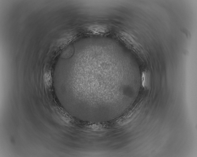 X0000111841395200907301040